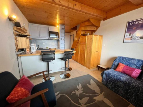 Joli T3 ensoleillé, proche centre, avec balcon, parking et casier à ski - FR-1-624-89